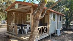 Accommodation - Wooden Chalet 2 Bedrooms Air-Conditioning - Camping CAVALLO MORTO