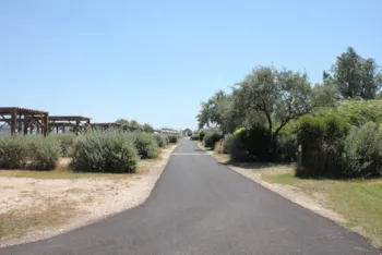 Stellplatz - Stellplatz - Camping Crin Blanc