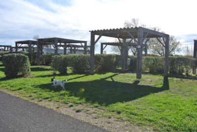 Camping pitch with arbor