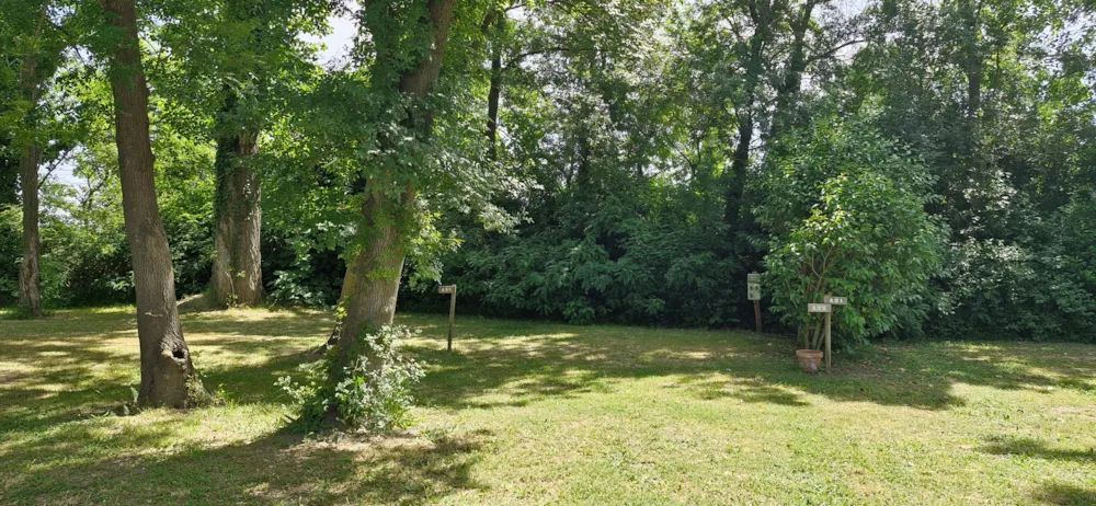 Emplacement - Emplacement Camping - Camping Crin Blanc