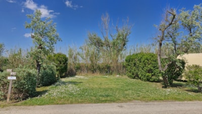 Camping pitch