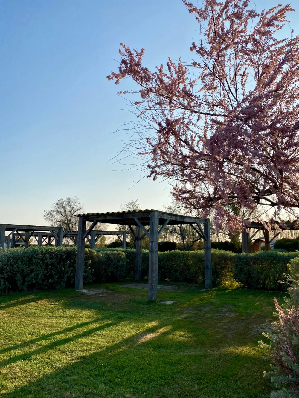 Emplacement - Emplacement Camping Avec Tonnelle - Camping Crin Blanc