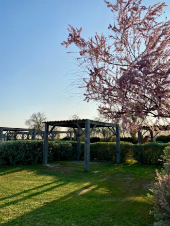 Stellplatz - Stellplatz Mit Laube - Camping Crin Blanc