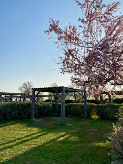 Emplacement Camping Avec Tonnelle