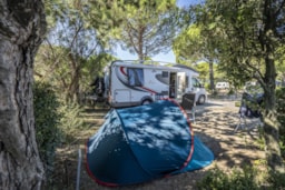 Emplacement - Forfait Provence *** - Camping Sandaya Île Des Papes