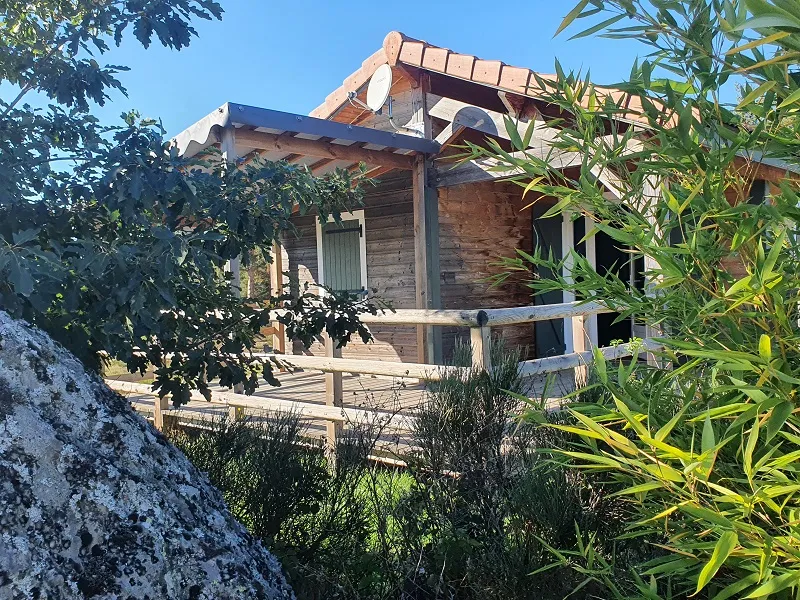 Chalet Bois Premium Plus