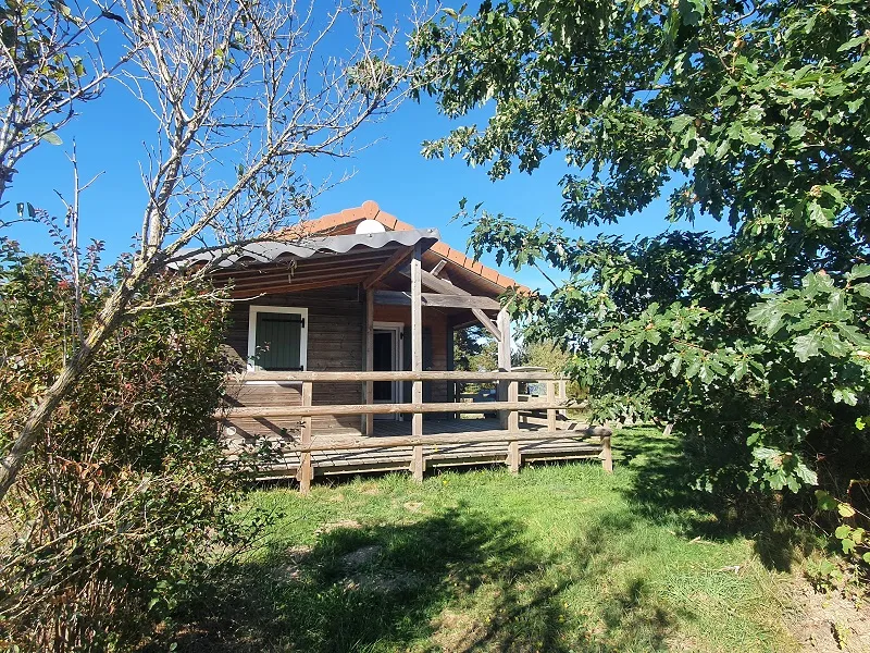 Chalet Bois Premium Plus