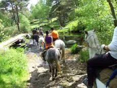 Camping Les Sous Bois du Lac