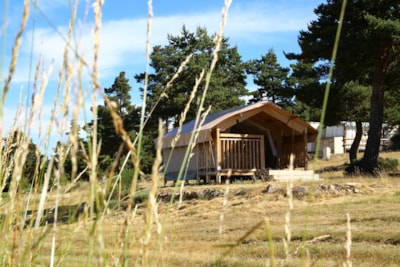 COSY-LODGE