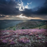 Foto #73 van Camping Les Sous Bois du Lac