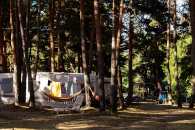 Camping Les Sous Bois du Lac
