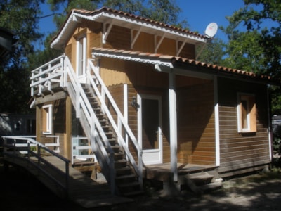 Eco chalet- Sunday