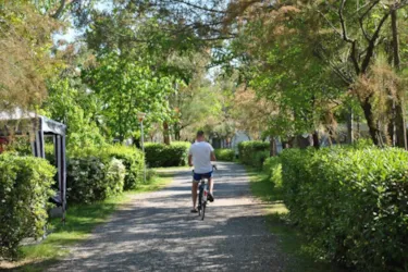 Camping Molino a Fuoco - image n°3 - Camping Direct