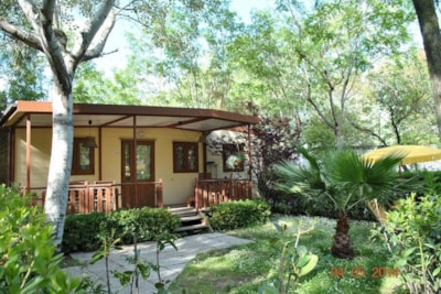 Bungalow Exclusive — 4