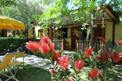 Bungalow Exclusive — 2