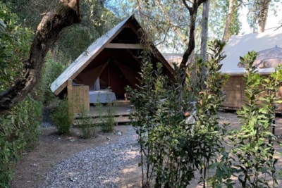 Wild Lodge Tent — 1