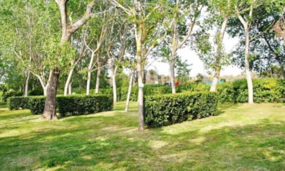 Large Pitch car, tent, caravan 80-100m² — 4