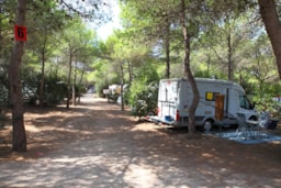 Riva di Ugento Beach Camping Resort - image n°8 - Roulottes
