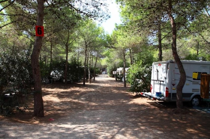 Emplacements Plus 10A, Eau, Évacuation Des Eaux Grises. Partiellement Ombragé. Jusqu'à 80 M²