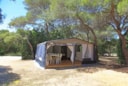 Family Tent Family Tent