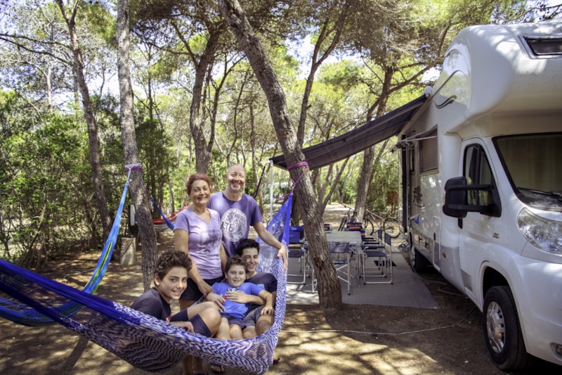 Gele kampeerplaats in het dennenbos