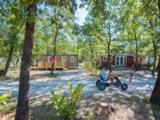 Foto #5 van Flower Camping Le Jas du Moine