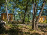 Foto #8 van Flower Camping Le Jas du Moine