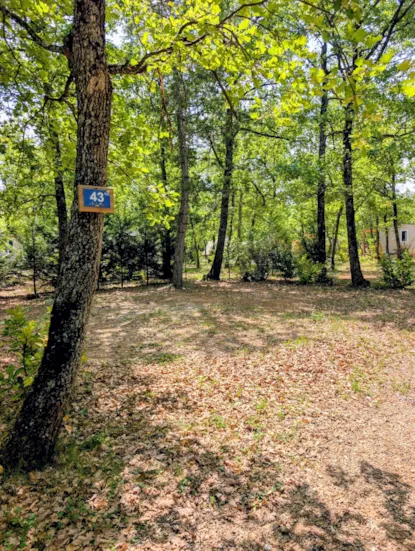 Piazzola Nature