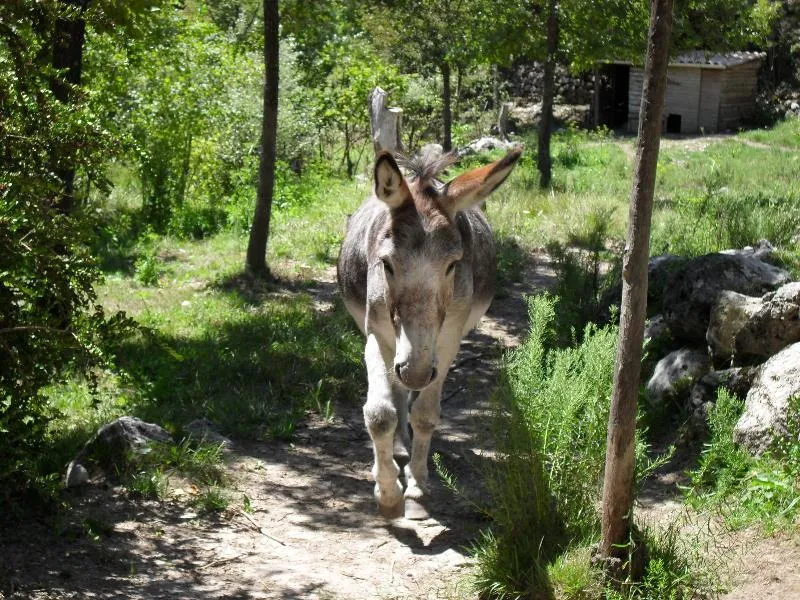 Camping Calme et Nature
