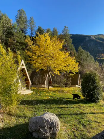 Stellplatz - Bereit Zum Campen - Camping Calme et Nature