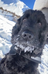 Foto #16 van Camping Calme et Nature