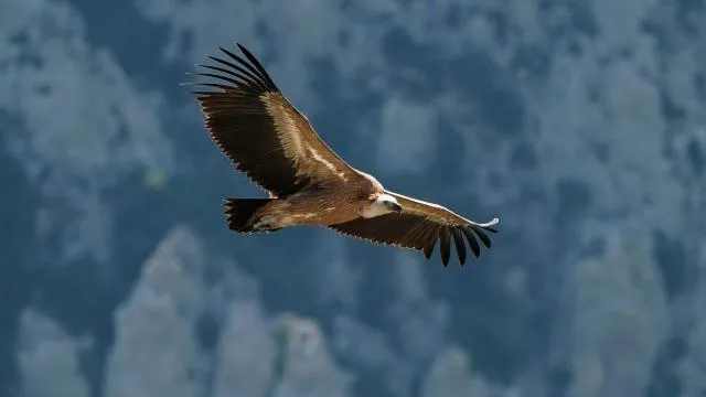 Camping Calme et Nature