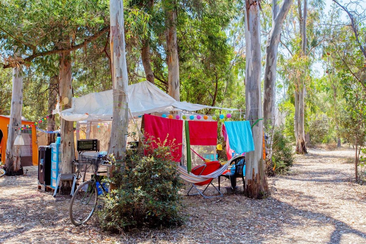 Pitch (tent ou caravan or motor home)