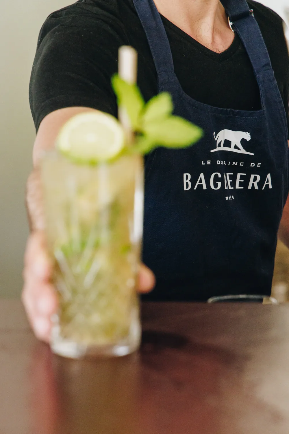 Camping Village Vacances Naturiste Bagheera