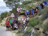 Foto #25 van Camping La Pinède