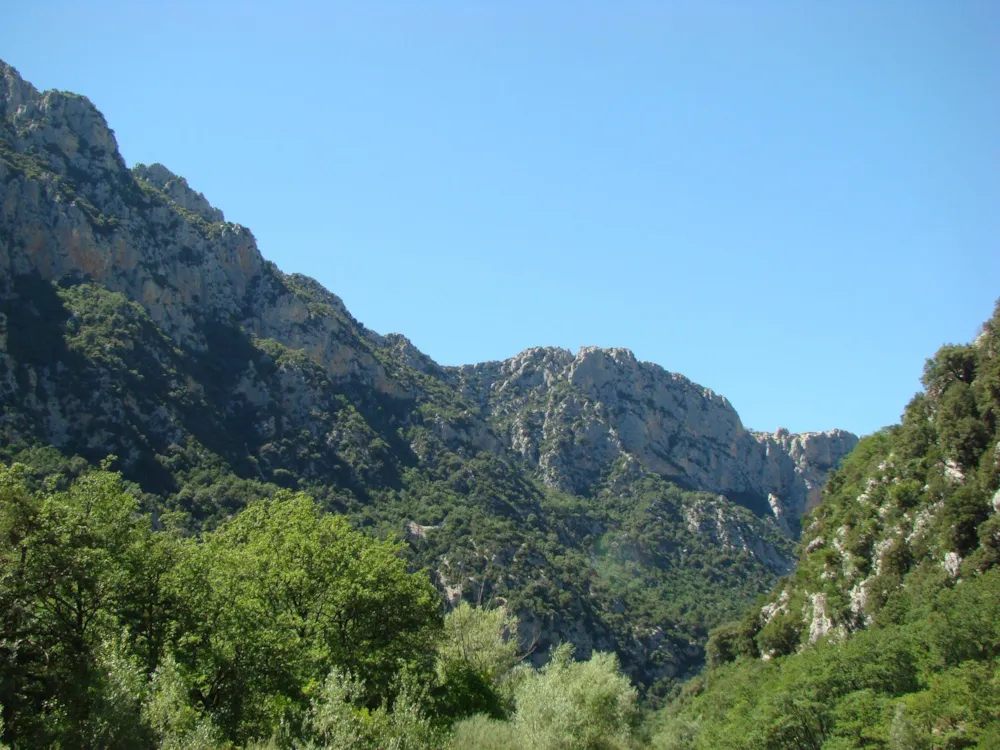 Camping Paradis La Pinède