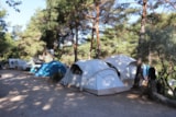 Foto #5 van Campasun Camping Du Soleil