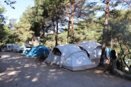 Campasun Camping Du Soleil - image n°7 - Roulottes
