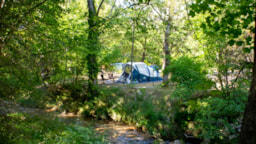 Camping Tikayan Le Saint Clair - image n°8 - Roulottes