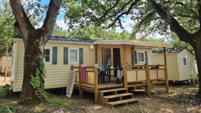 TEXAS ECO