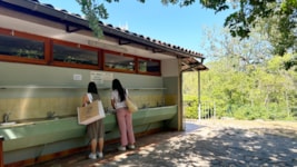 Standplaats: auto + tent/caravan of kampeerauto