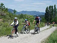 Camping Rose de Provence