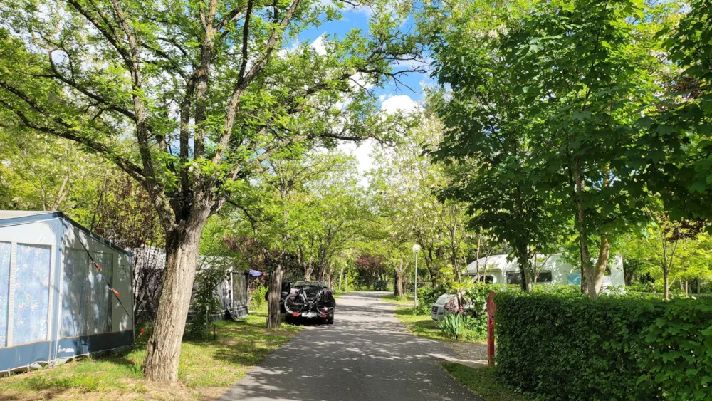 Camping Rose de Provence