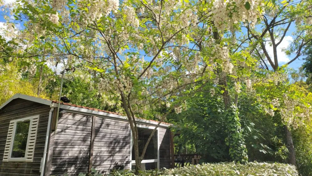 Camping Rose de Provence