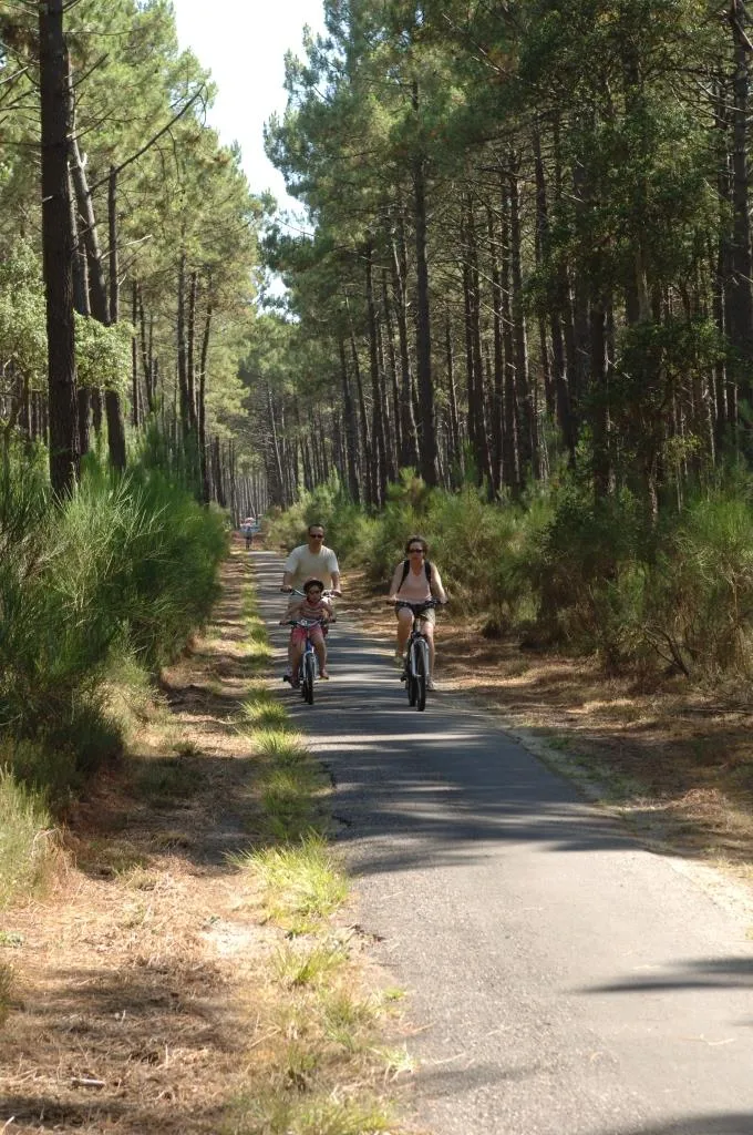 Camping LANDES OCEANES