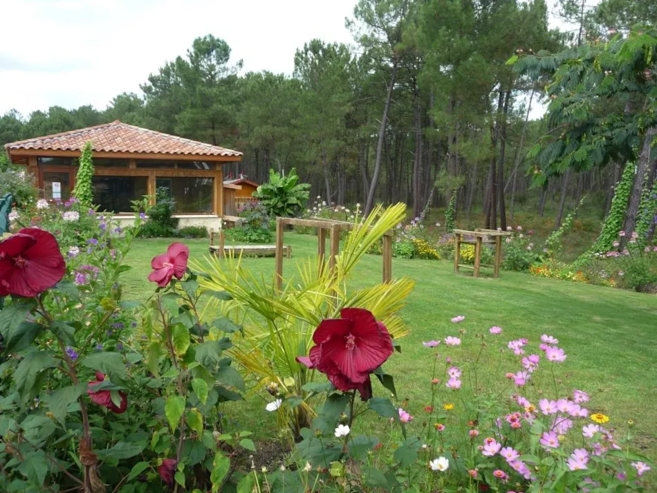 Camping LANDES OCEANES