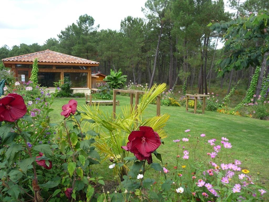 Camping LANDES OCEANES — Photo 8