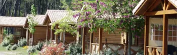 Mietunterkunft - Chalet Grand Confort 3 Kamer - Camping LANDES OCEANES