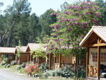 Accommodation - Chalet Grand Confort 3 Bedrooms - Air Conditioning - Camping LANDES OCEANES