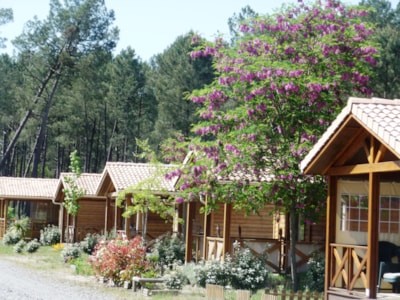 Chalet Grand Confort 3 bedrooms - Air conditioning — 1